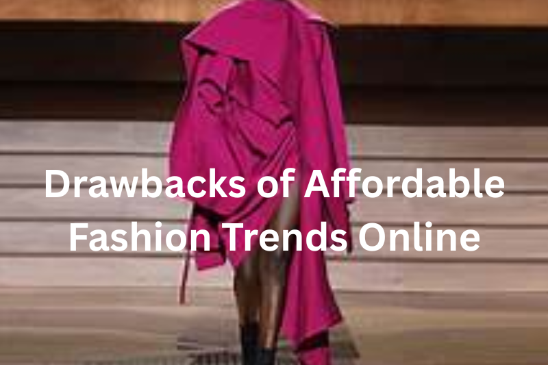 Drawbacks of Affordable Fashion Trends Online